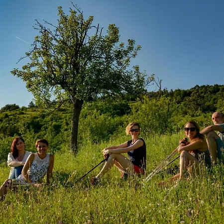 Pronay-kastely Guest house 3*