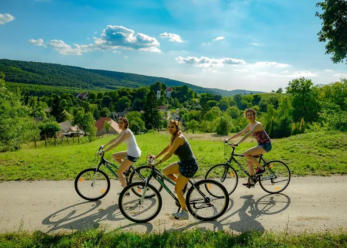 Prónay-kastély 4* Alsopeteny